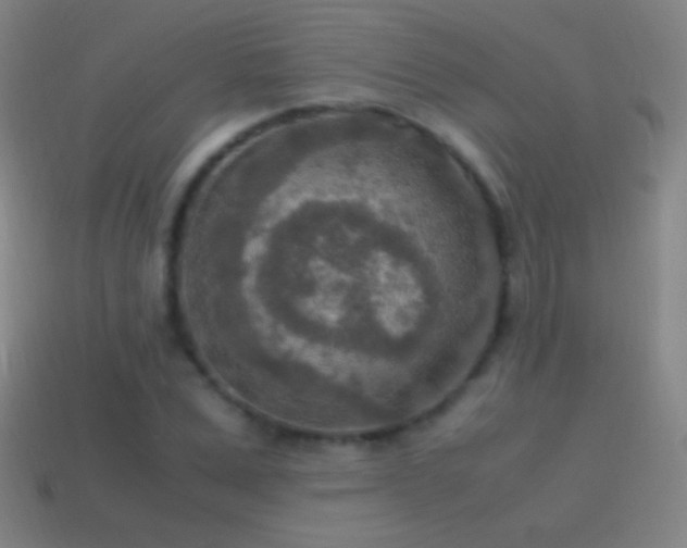 X0000115580975200911101144