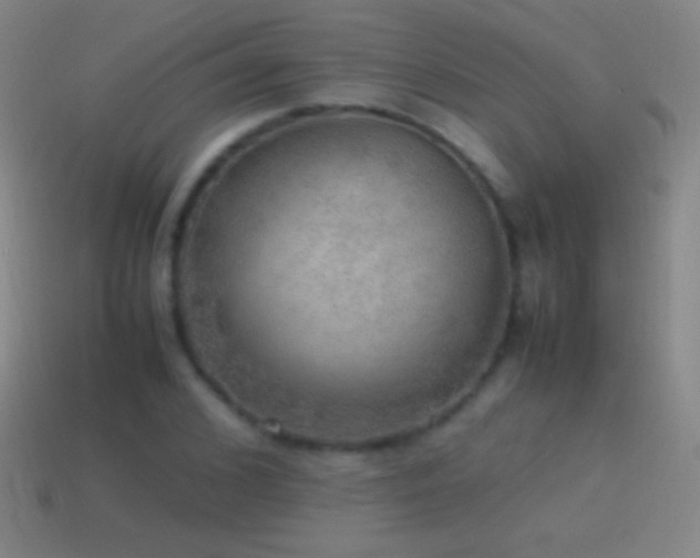 X0000115580976200911101144