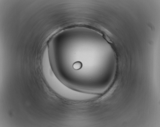 X0000115580977200911101144