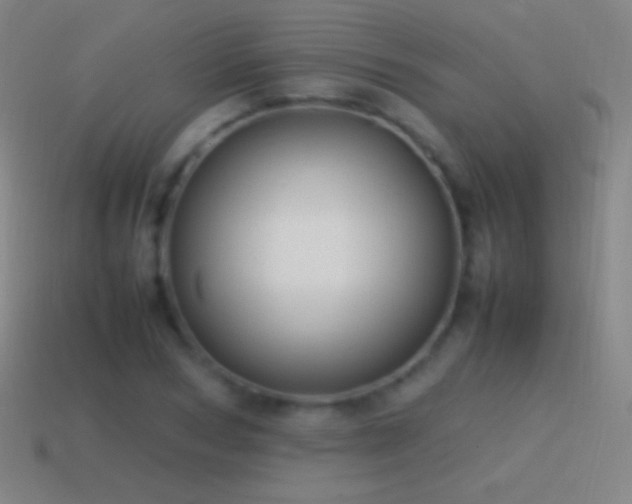 X0000115580978200911101144