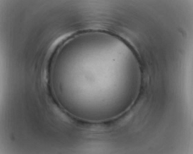 X0000115580979200911101144