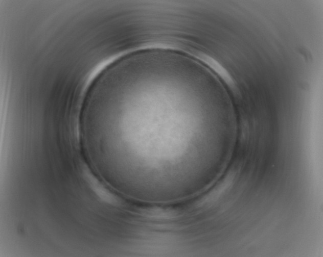 X0000115580980200911101144