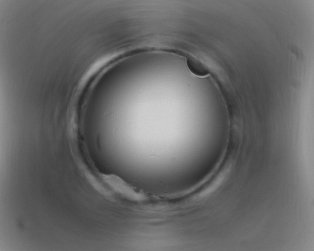 X0000115580981200911101144