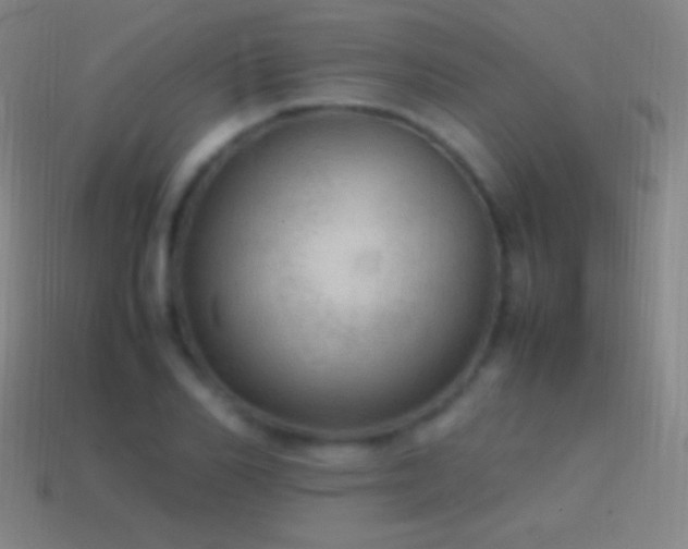 X0000115580982200911101144