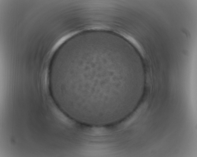 X0000115580983200911101144