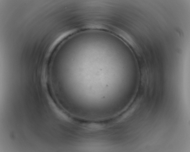 X0000115580984200911101144