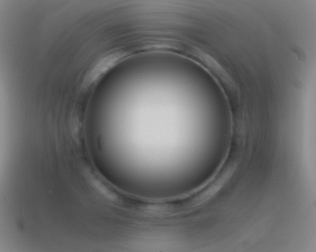 X0000115580985200911101144