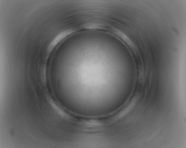 X0000115580986200911101144