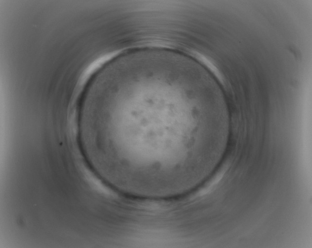 X0000115580987200911101144