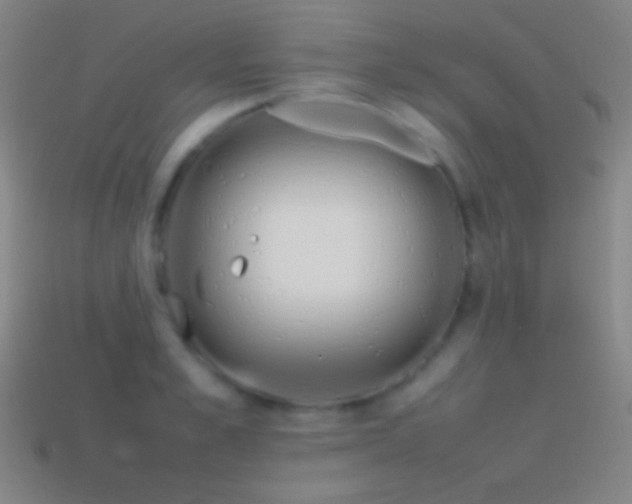 X0000115580989200911101144