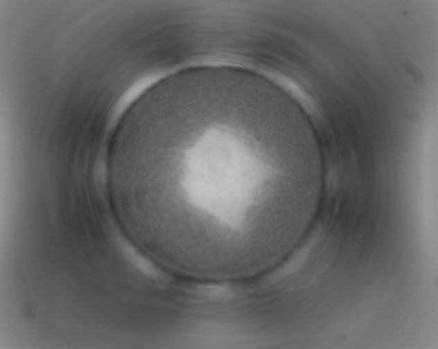 X0000115580990200911101144