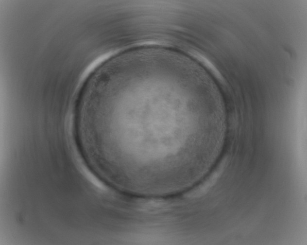 X0000115580991200911101144