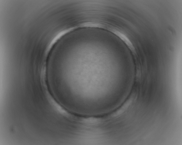 X0000115580992200911101144