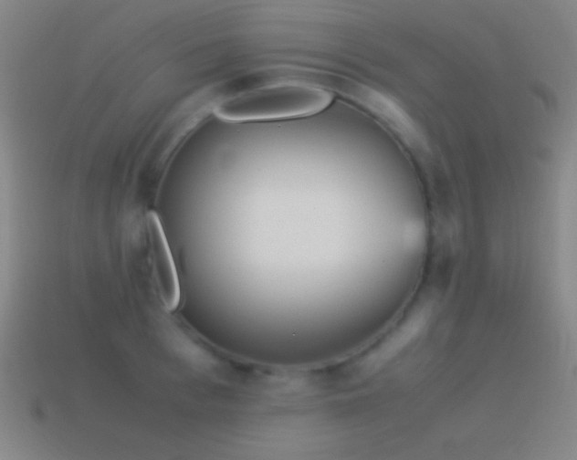 X0000115580993200911101144