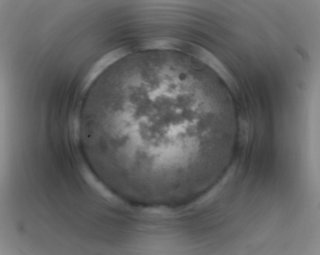 X0000115580994200911101144