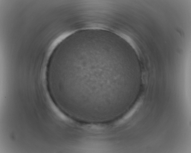 X0000115580995200911101144