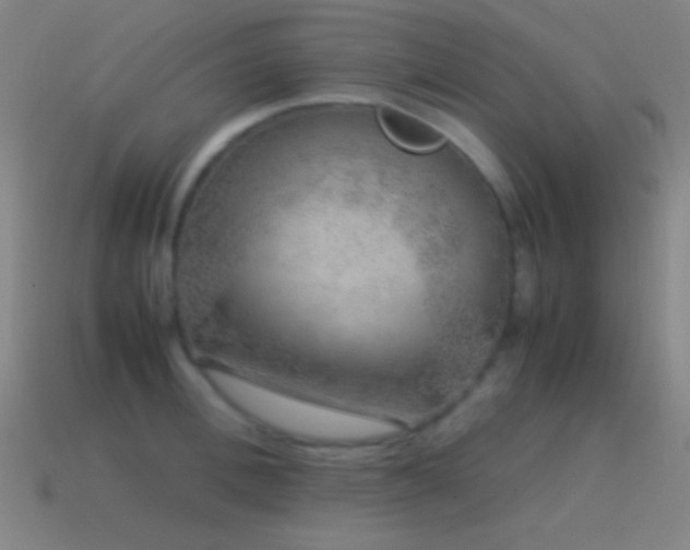 X0000115580996200911101144