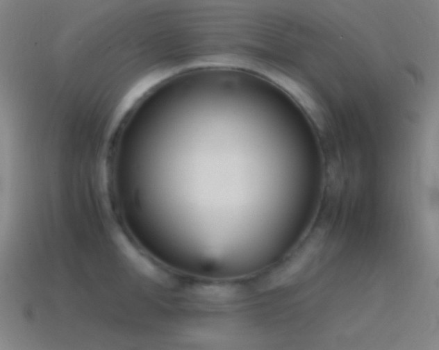 X0000115580998200911101144