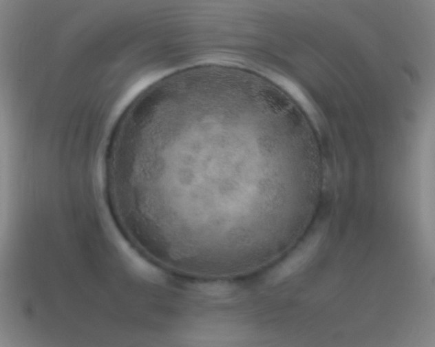 X0000115580999200911101144