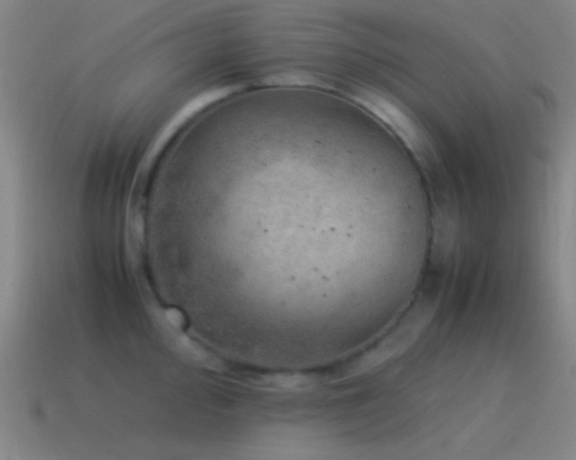 X0000115581000200911101144