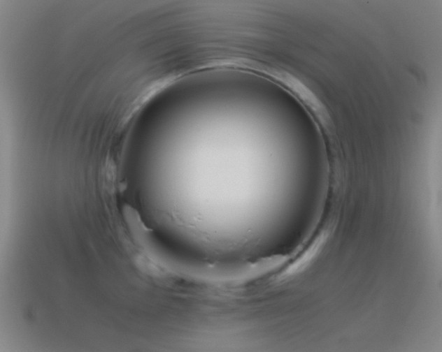 X0000115581001200911101144