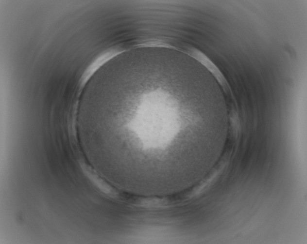 X0000115581002200911101144