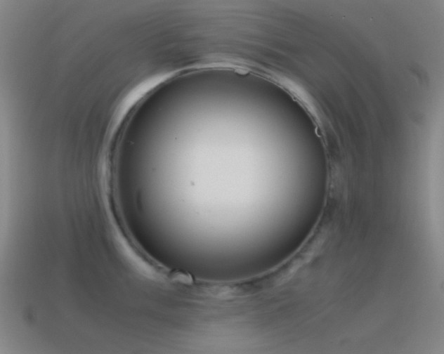 X0000115581003200911101144