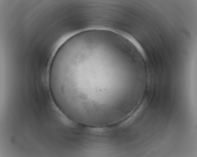 X0000115581004200911101144