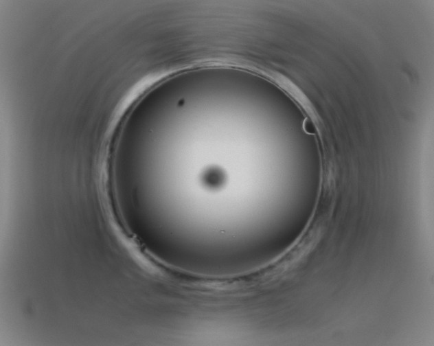 X0000115581005200911101144