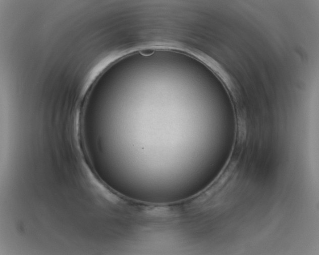 X0000115581006200911101144