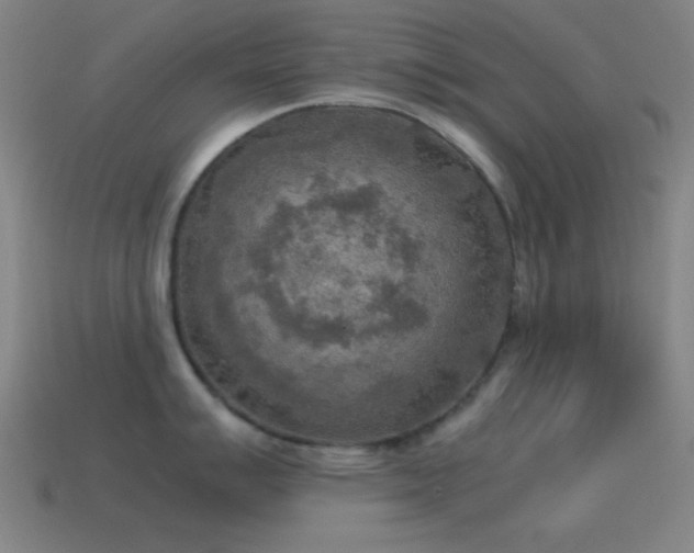 X0000115581007200911101144