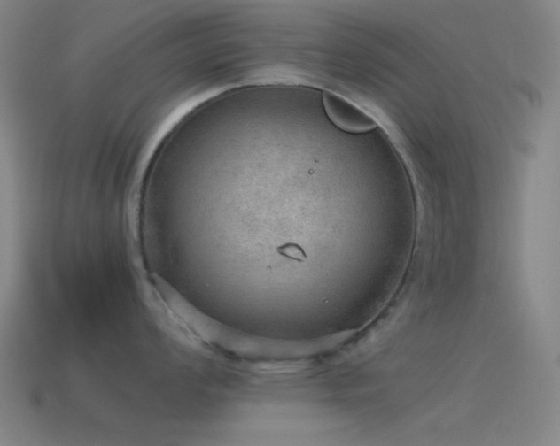 X0000115581008200911101144