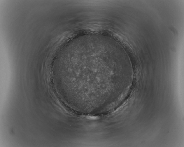 X0000115581009200911101143