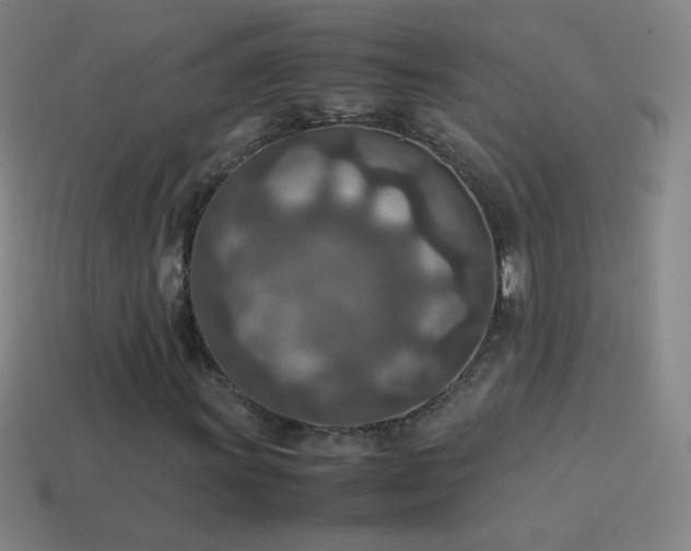 X0000115581011200911101143