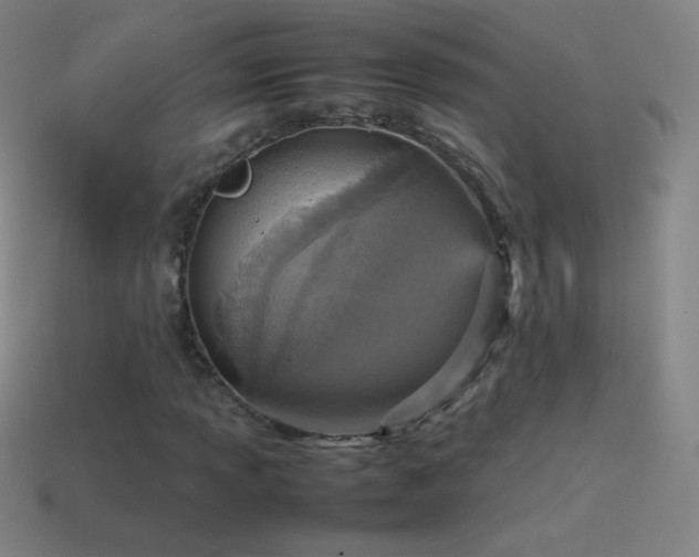 X0000115581013200911101143