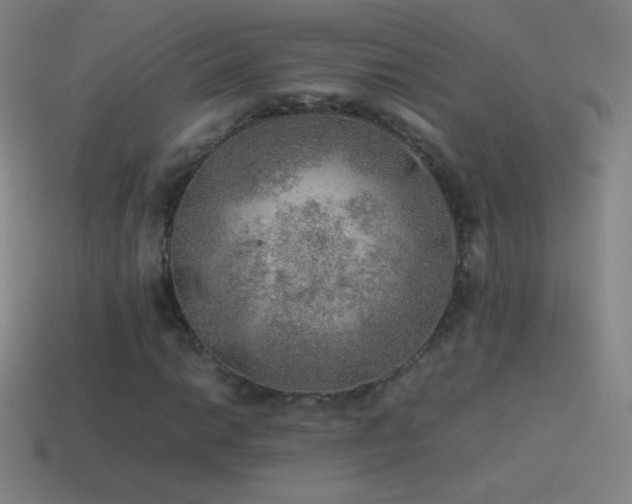 X0000115581014200911101143