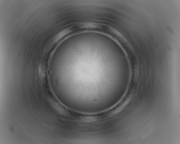 X0000115581017200911101143