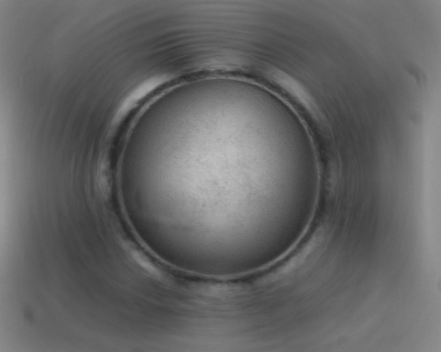 X0000115581018200911101143