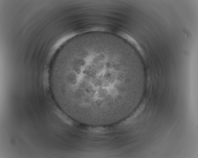 X0000115581019200911101143