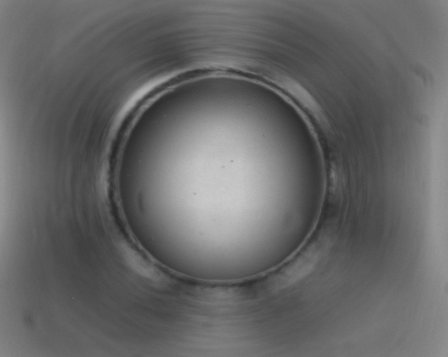 X0000115581020200911101143