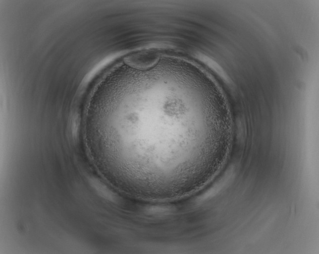 X0000115581021200911101143