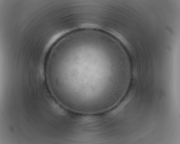 X0000115581022200911101143