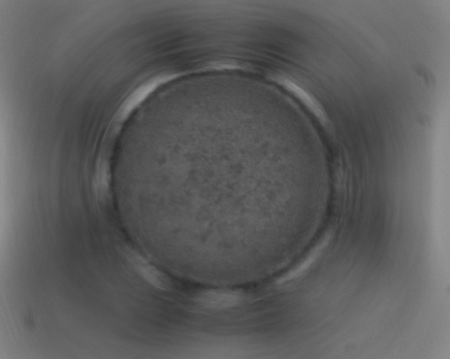 X0000115581023200911101143