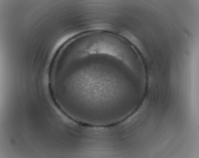 X0000115581024200911101143