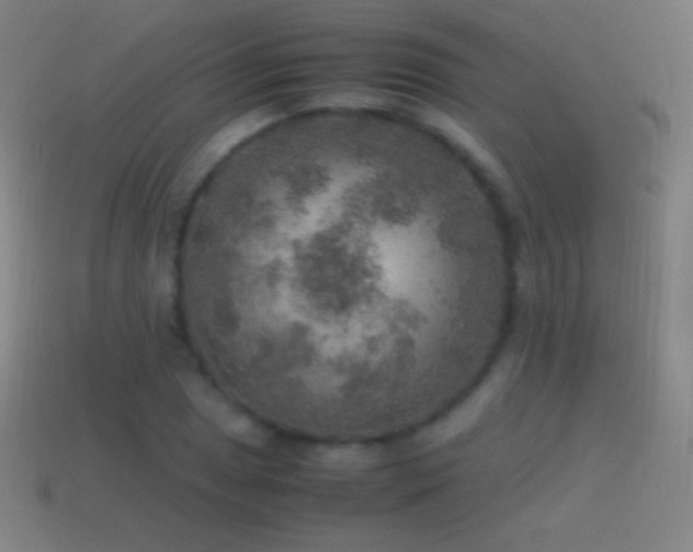 X0000115581025200911101143