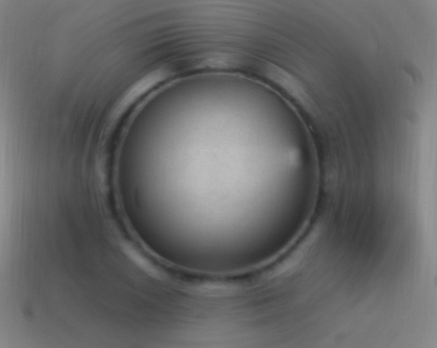 X0000115581026200911101143