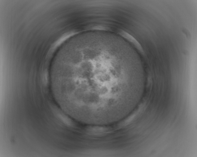 X0000115581027200911101143