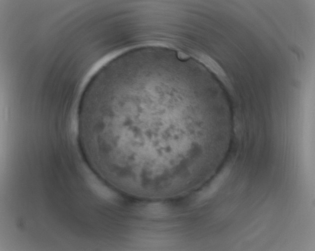 X0000115581028200911101143