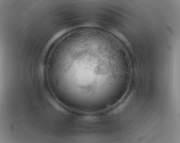 X0000115581029200911101143