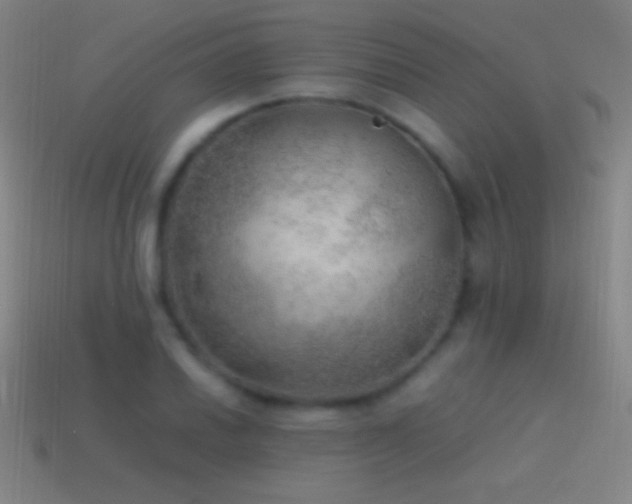 X0000115581030200911101143